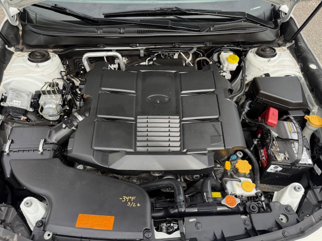 IMG_8659